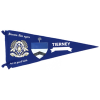 (2027) Y12 TIERNEY HOUSE SHIRT